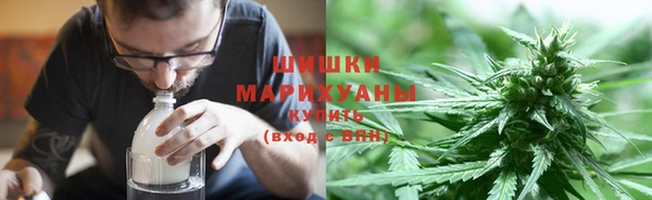 PSILOCYBIN Нея