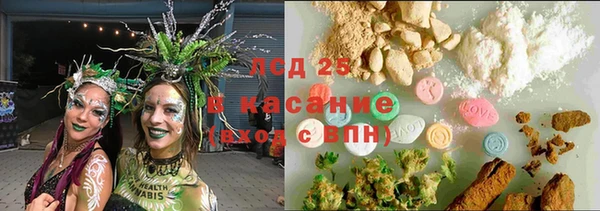 PSILOCYBIN Нея